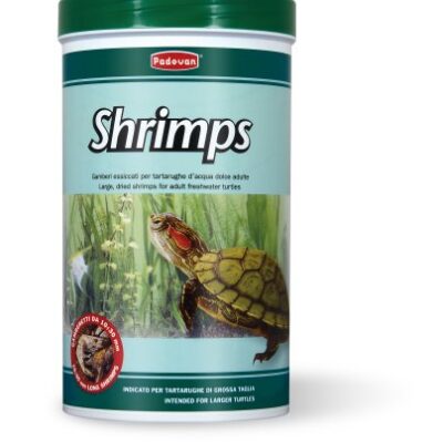 Shrimps