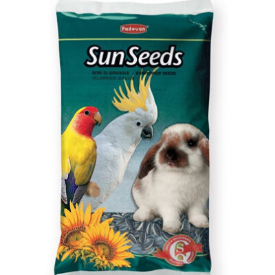 Sun Seeds Girasole Bianco kg 25