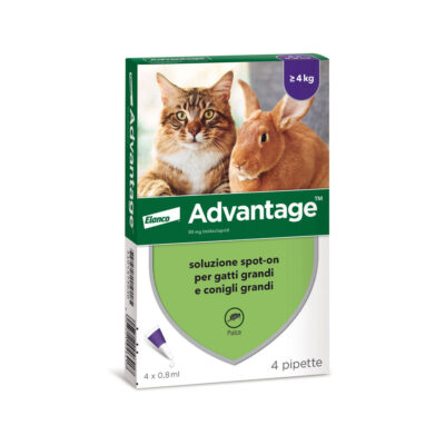 Advantage Antiparassitario Spot on per Gatti sopra i 4KG (4 pz)